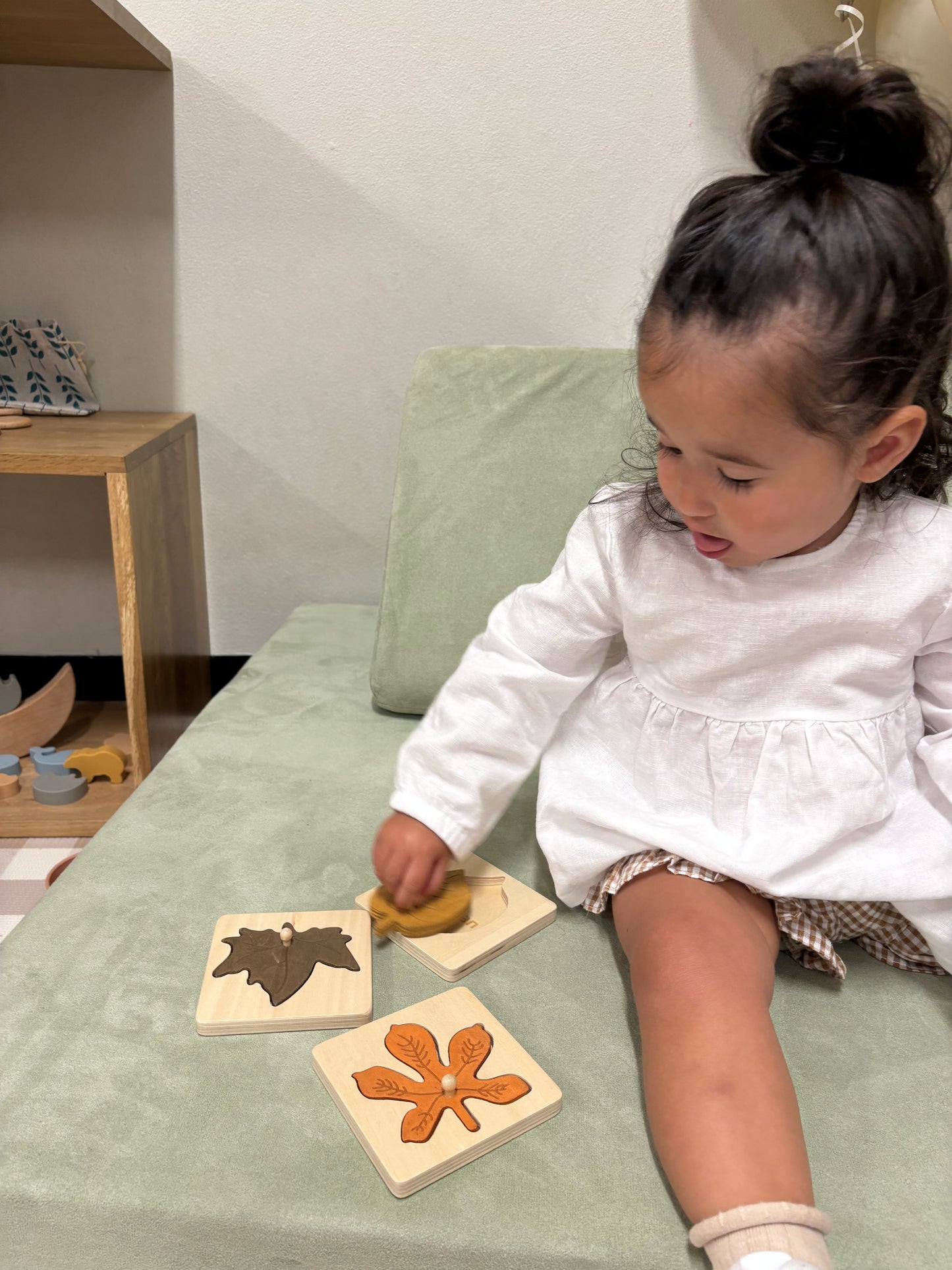 Wooden Leaf Puzzle