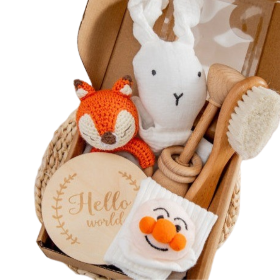 Baby Gift Set