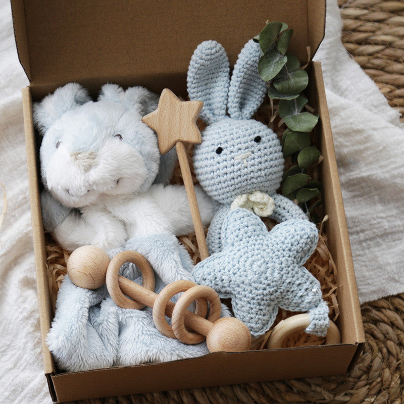 Newborn Toy Gift Set