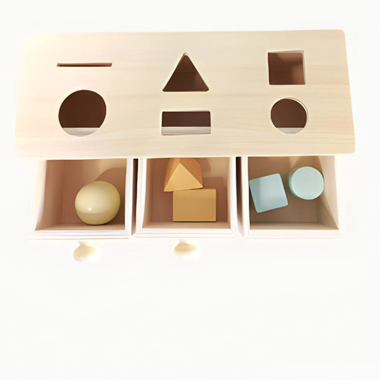 Wooden Montessori Drawer Target Box's