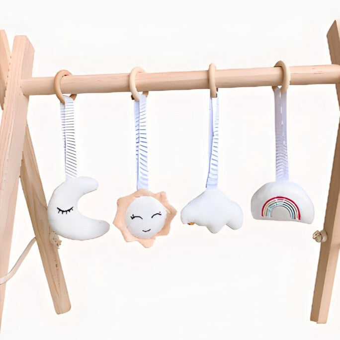 Wooden Play Gym Toys