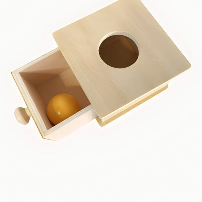 Wooden Montessori Drawer Target Box's