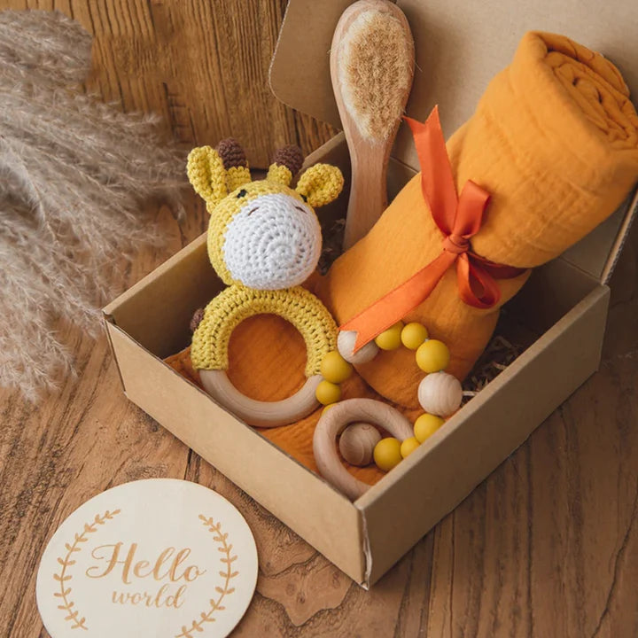 Baby Gift Set